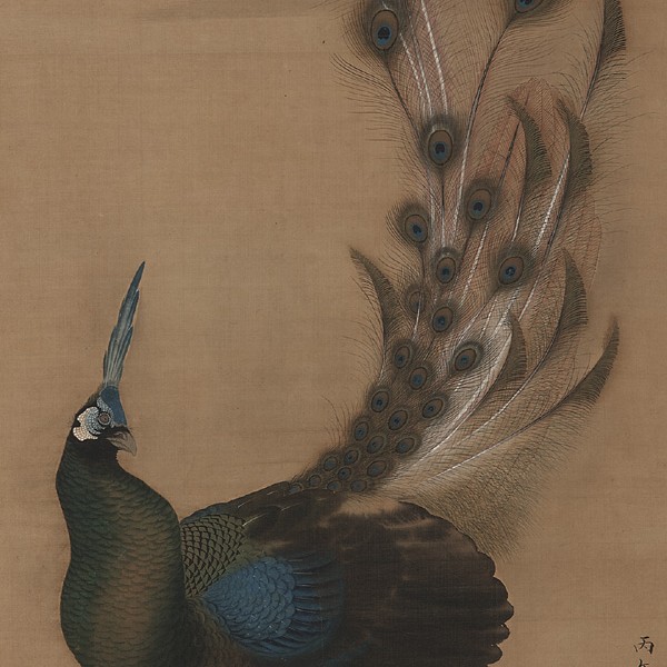 Color and ink on silk painting of a peacock from the Smithsonian National Museum of Asian Art
